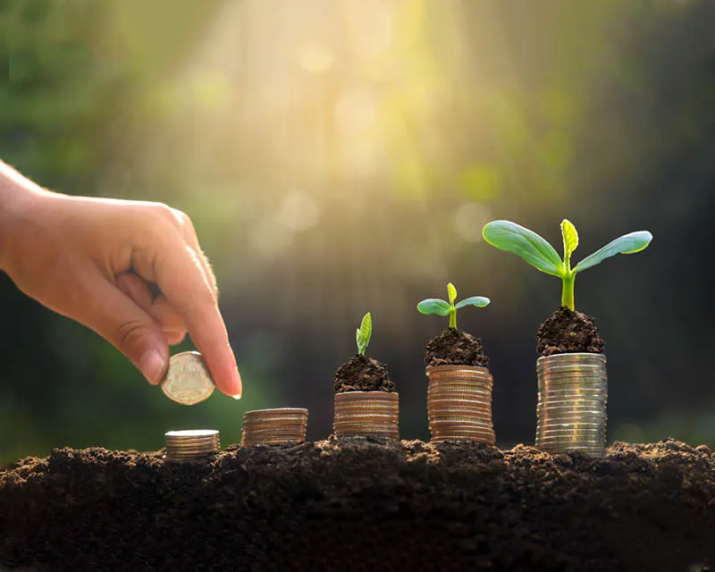 مركز اليتيم للدراسات والتنمية